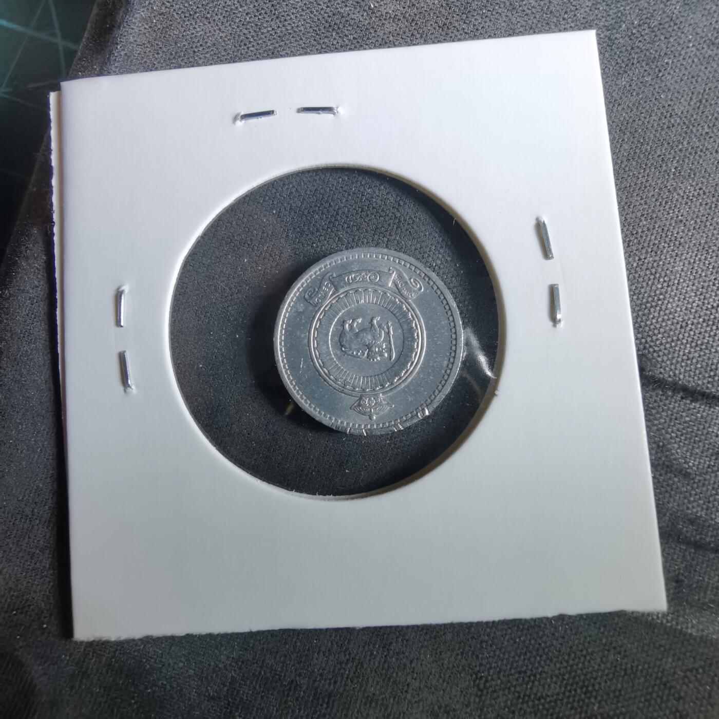 沼泽如烟--第960场