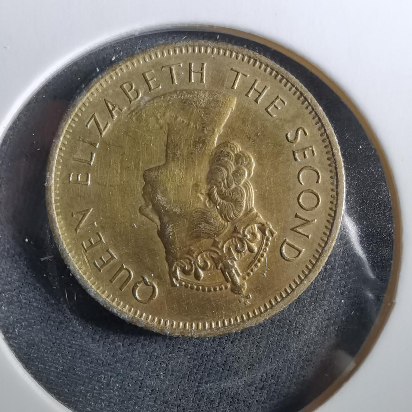 沼泽如烟--第960场