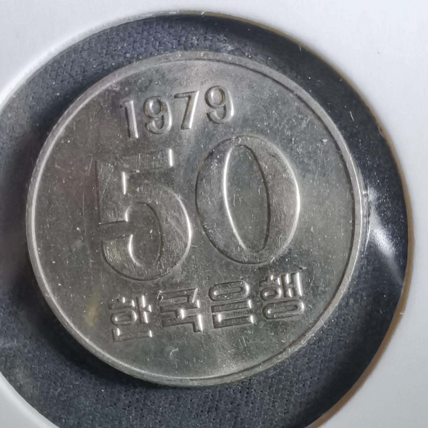 沼泽如烟--第960场