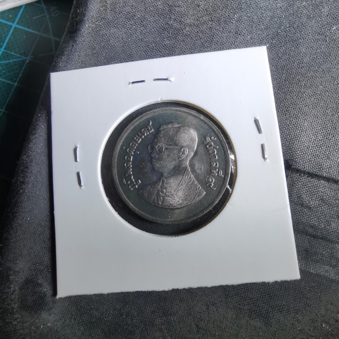 沼泽如烟--第960场 泰国