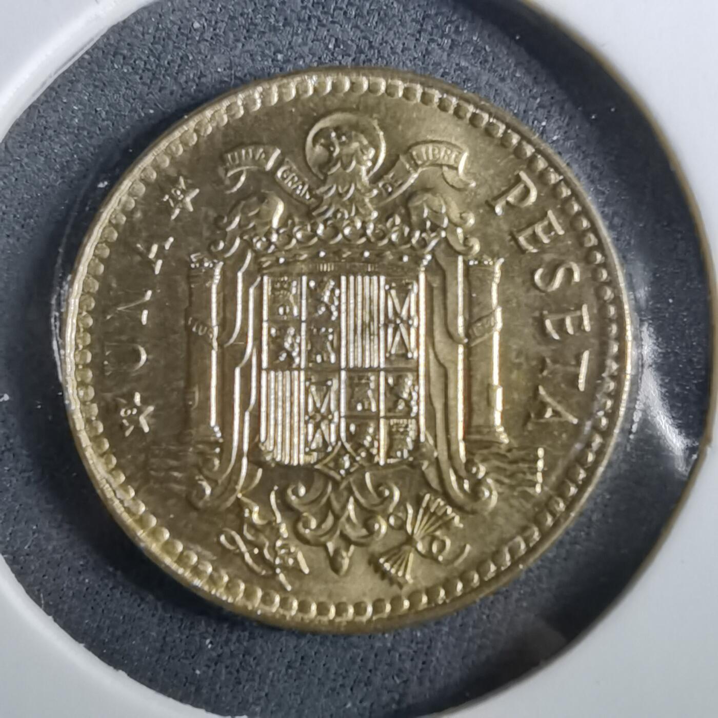 沼泽如烟--第960场