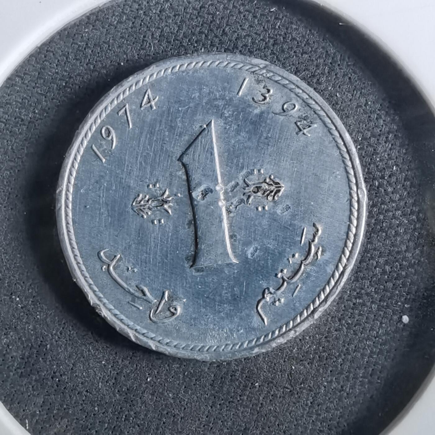 沼泽如烟--第960场