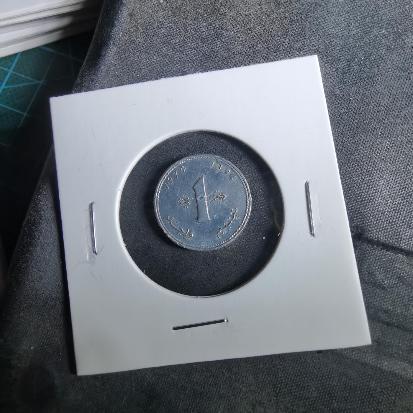 沼泽如烟--第960场