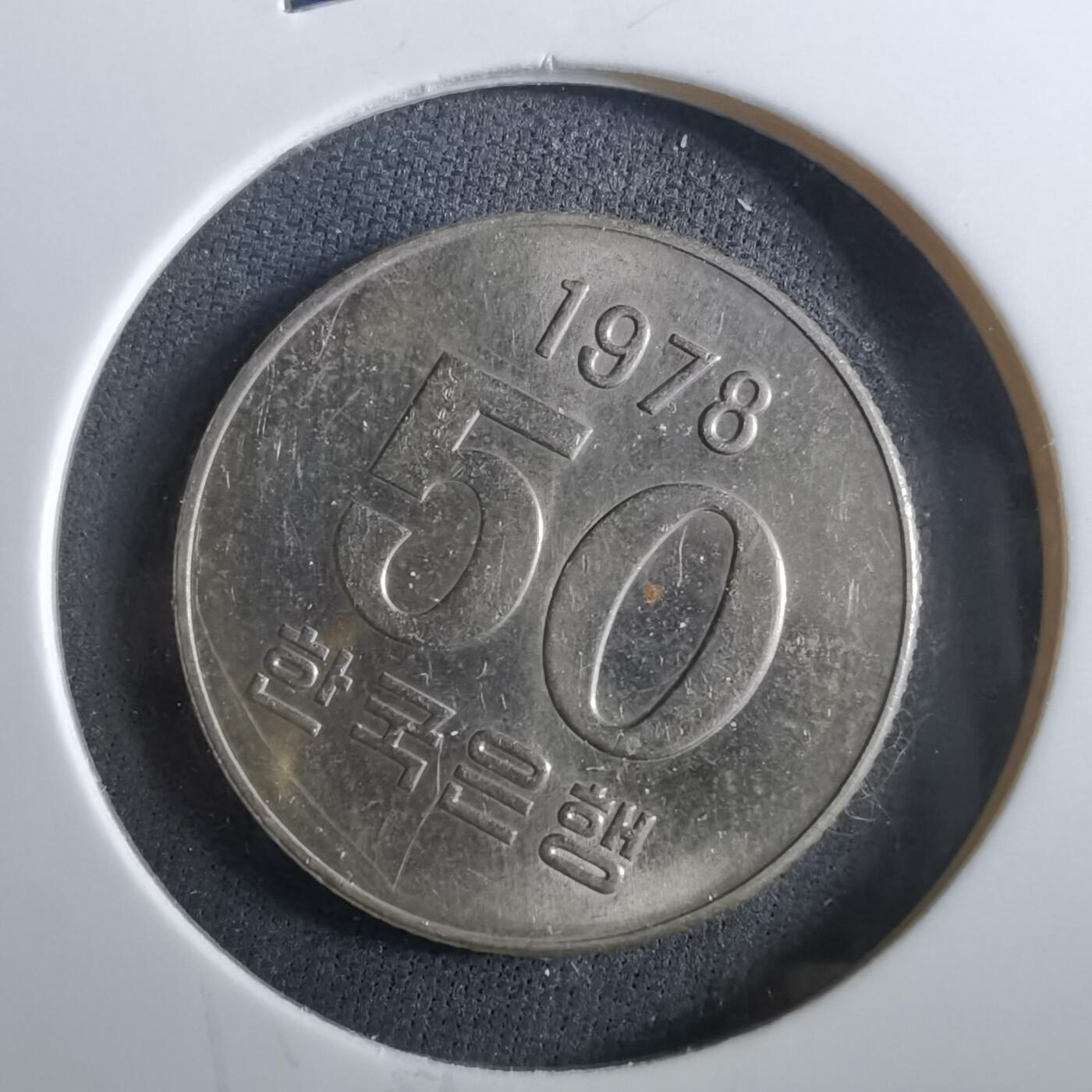 沼泽如烟--第960场