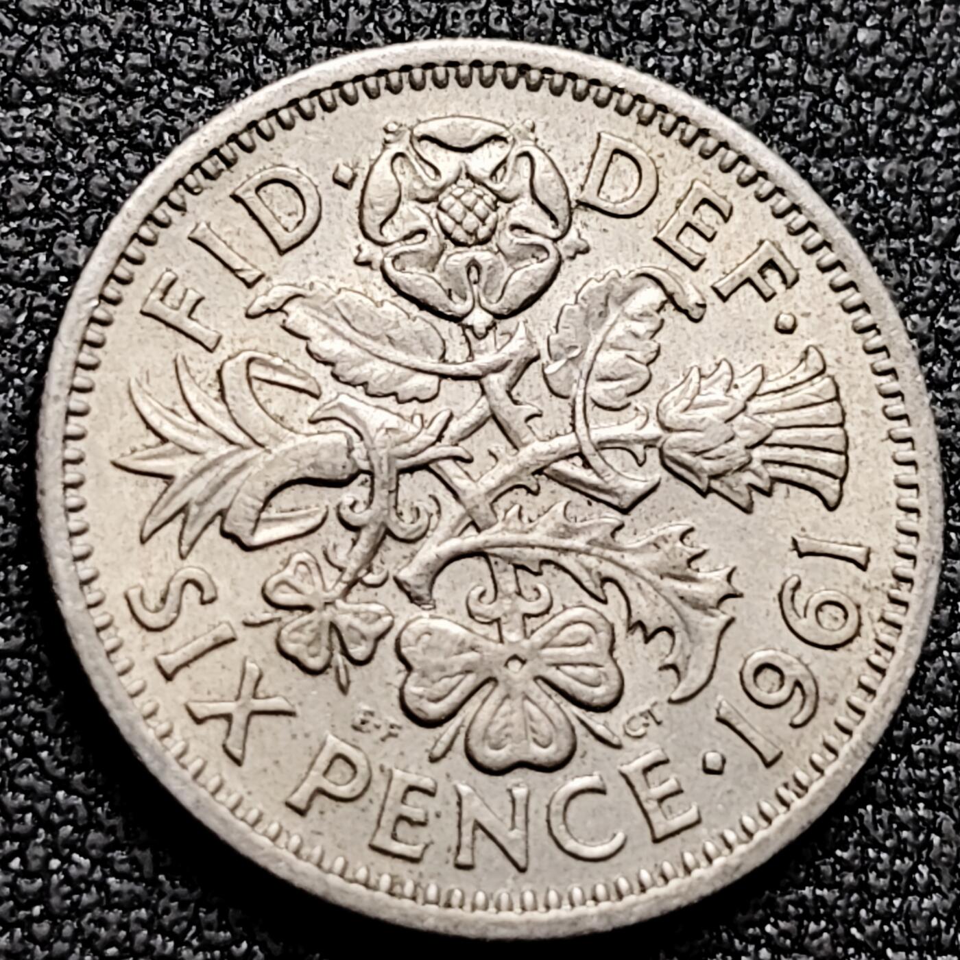 泉币菌-第170场- 精品福利场 。