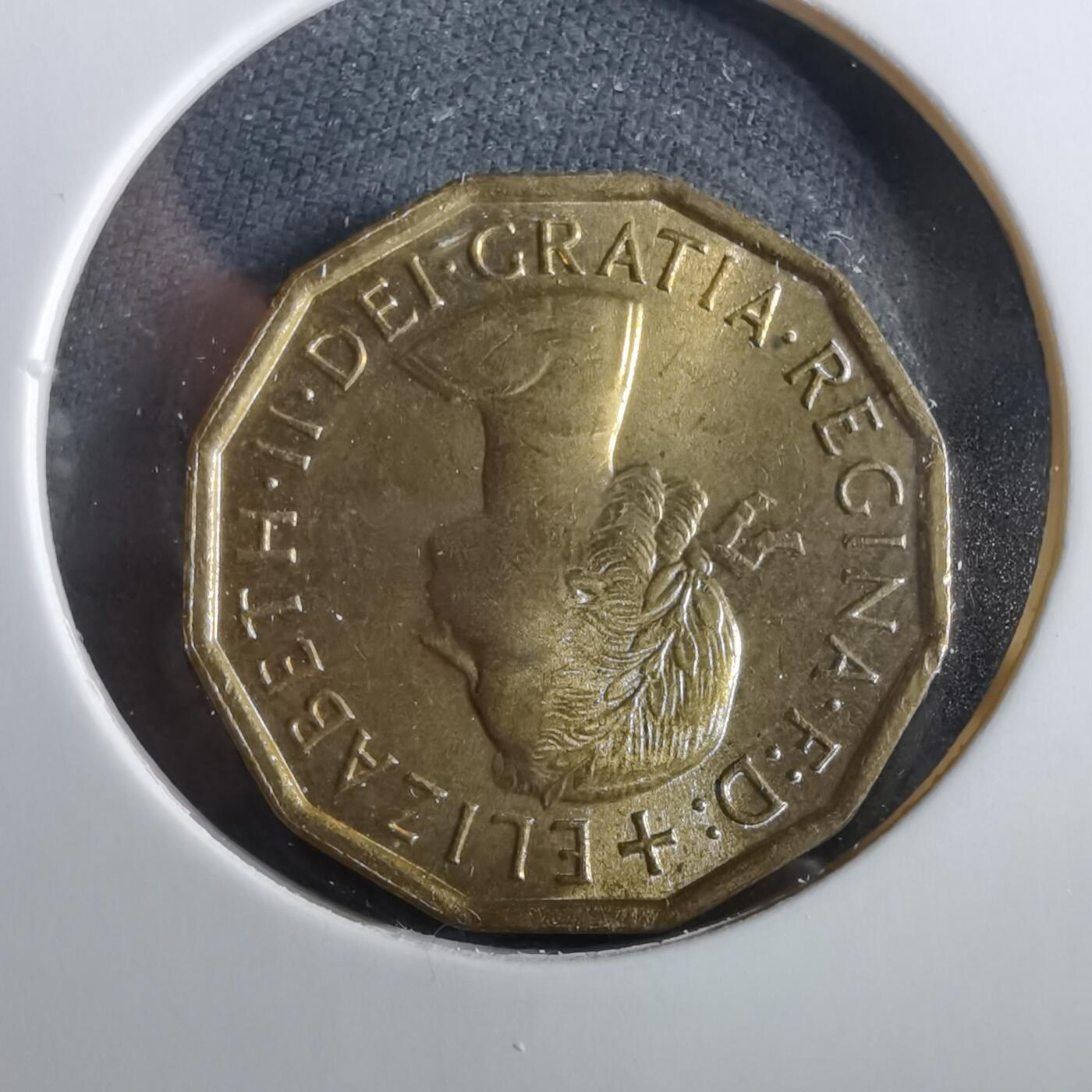 沼泽如烟--第960场