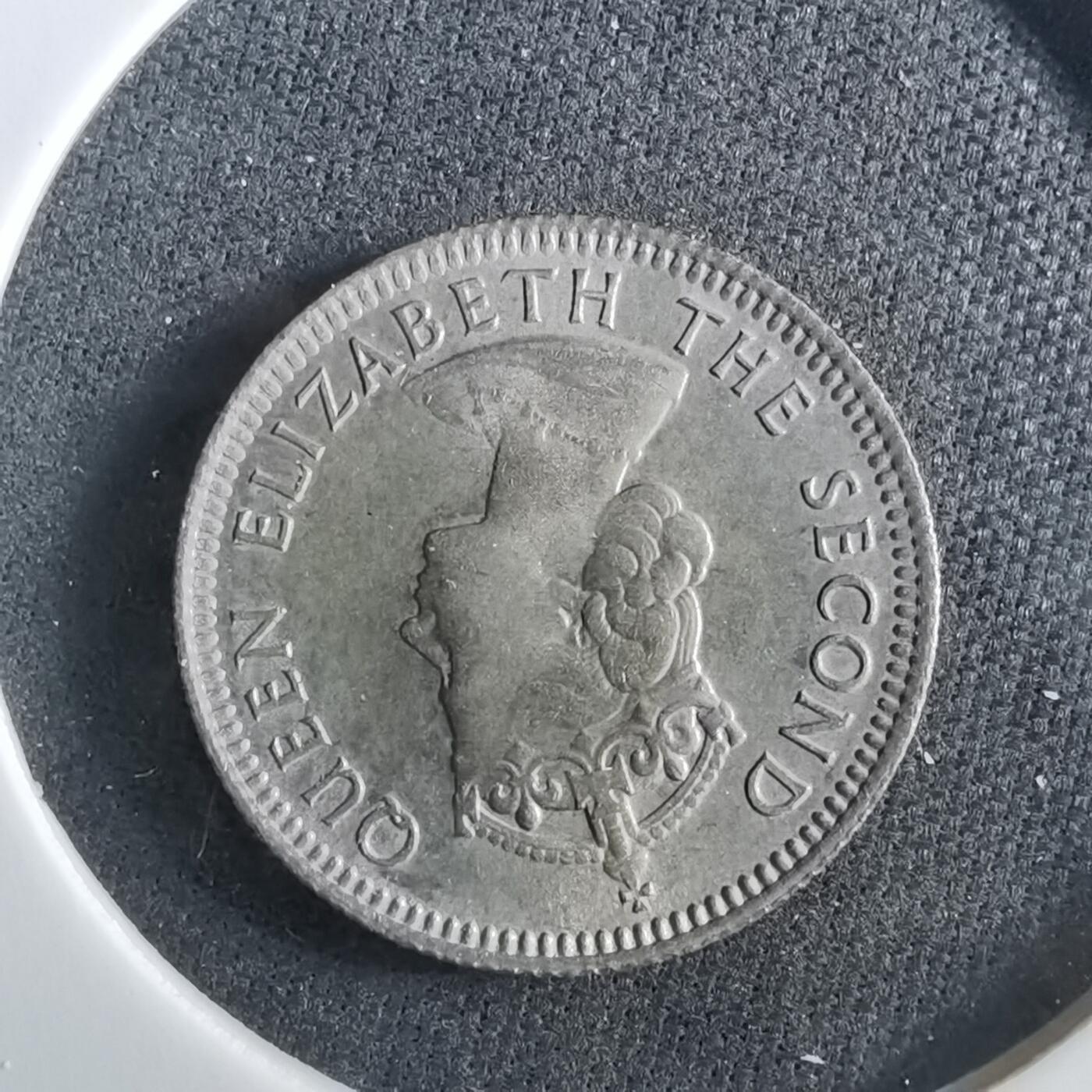 沼泽如烟--第960场