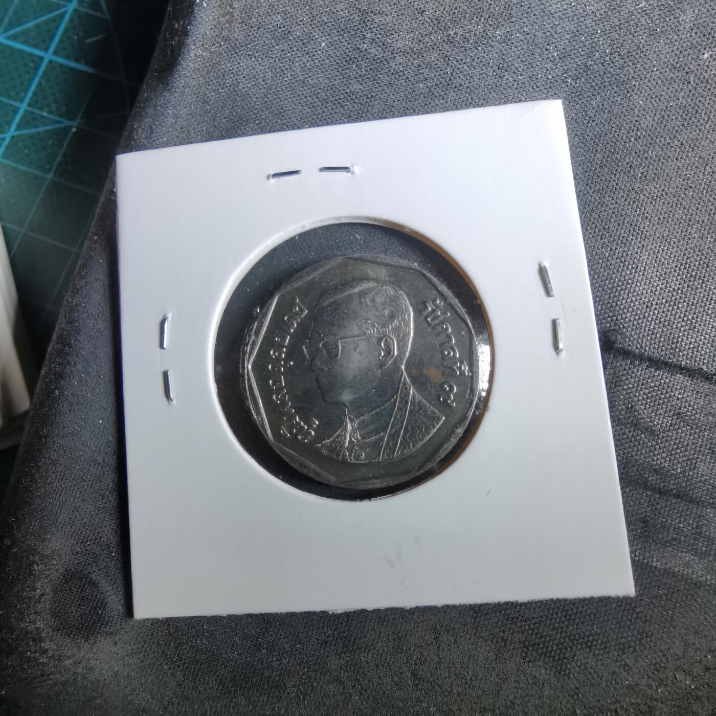 沼泽如烟--第960场