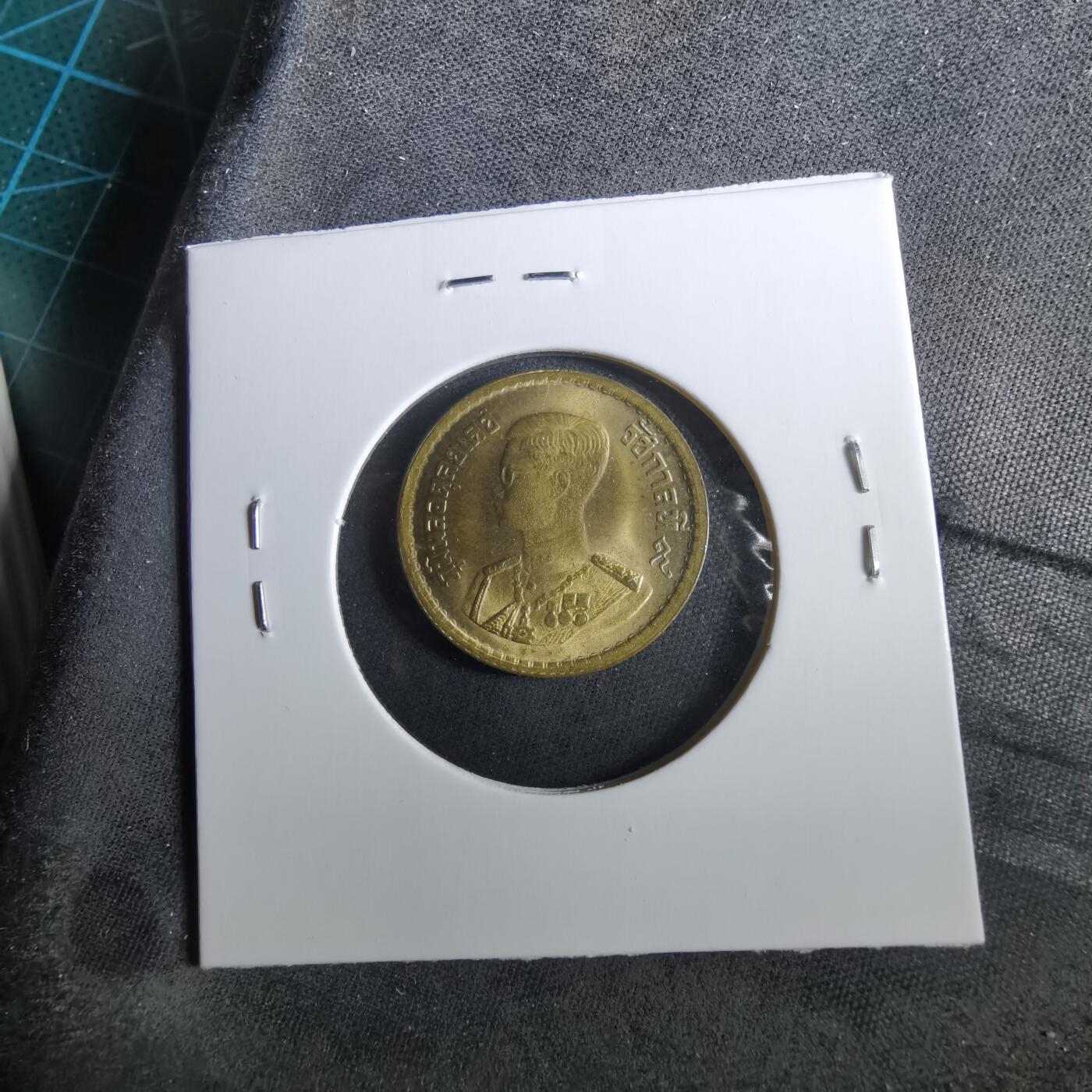 沼泽如烟--第960场