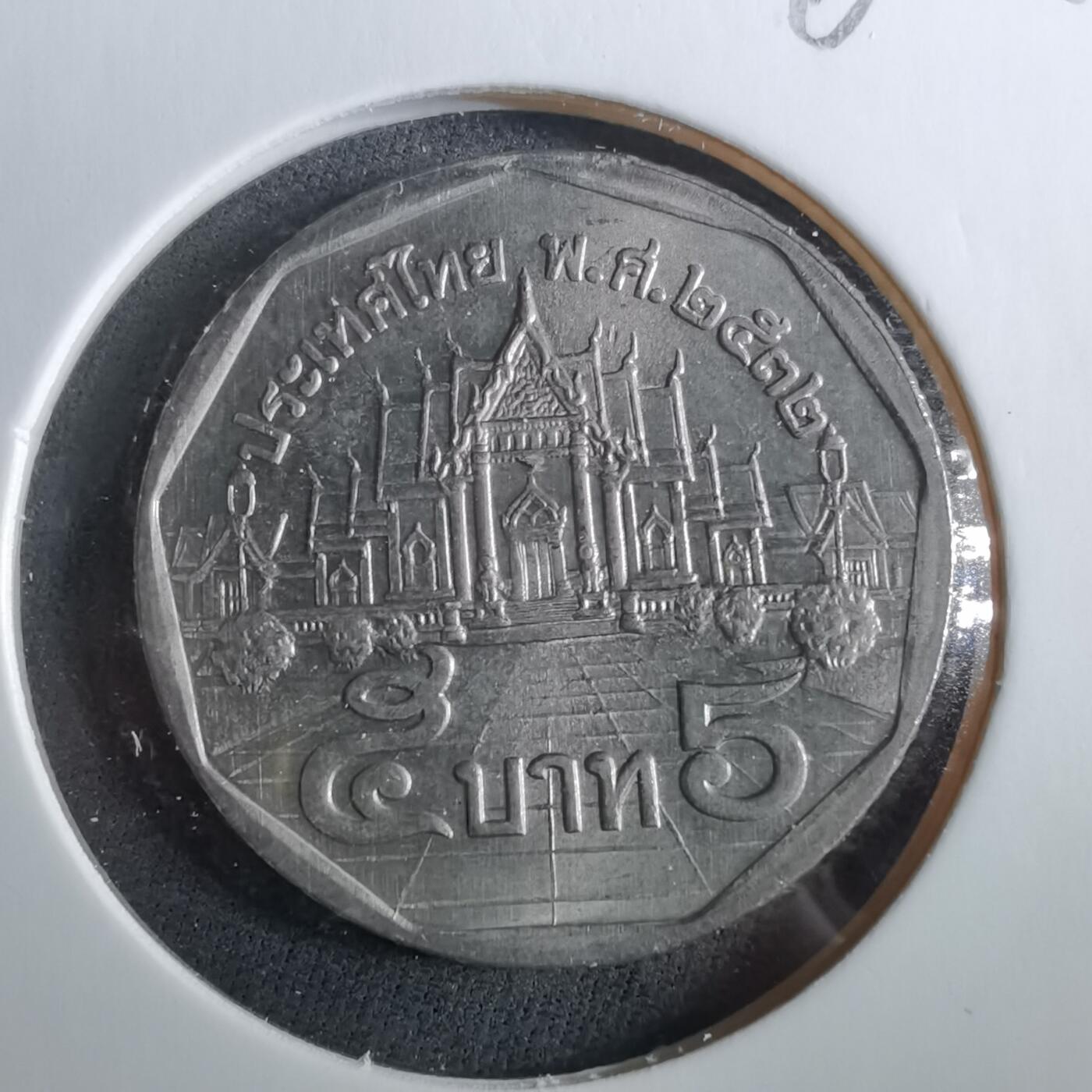 沼泽如烟--第960场