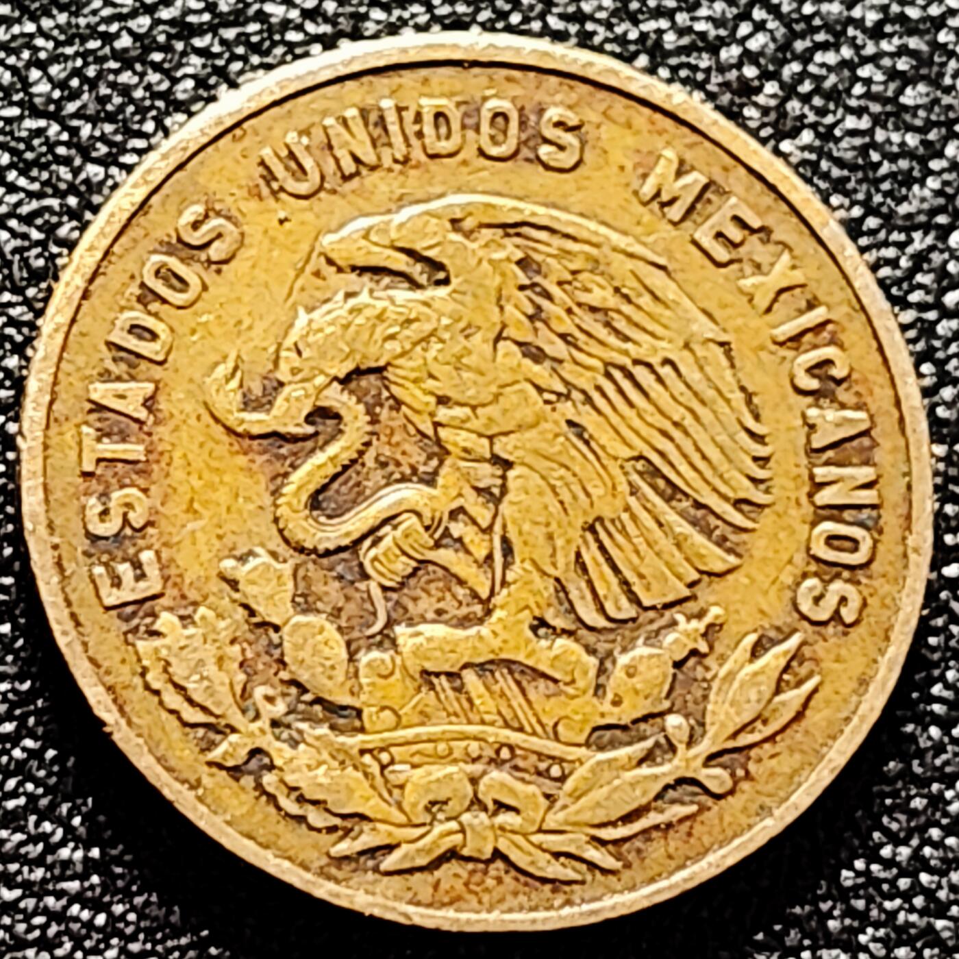 泉币菌-第170场- 精品福利场 。