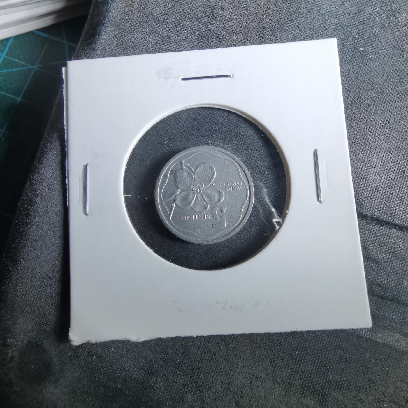 沼泽如烟--第960场