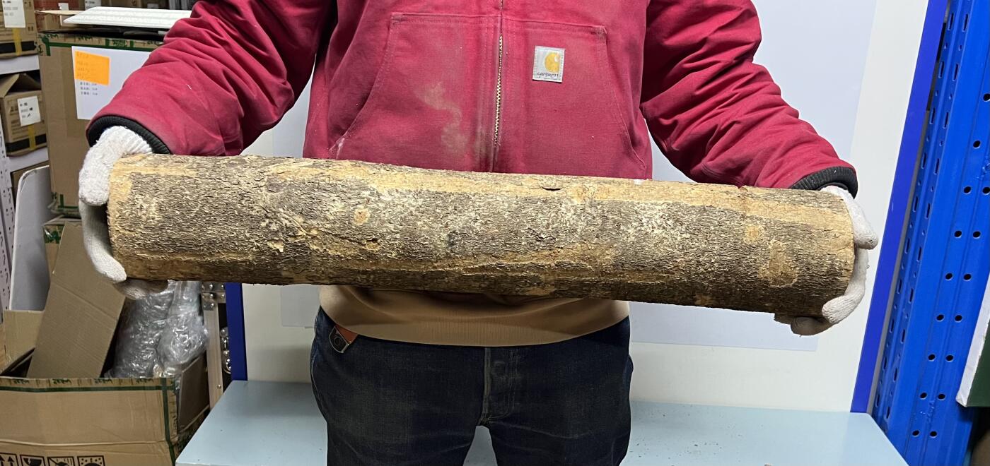 零元拍： 01-09-6金丝楠 原木 风水柱 横财（材）带皮， 尺寸：71.5/12CM。5.6公斤，抛光后金灿灿满香。