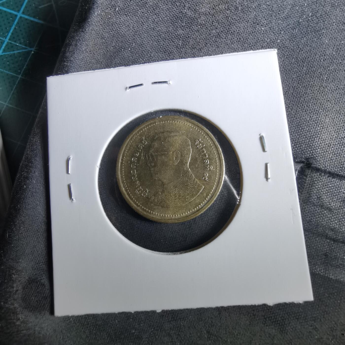 沼泽如烟--第960场