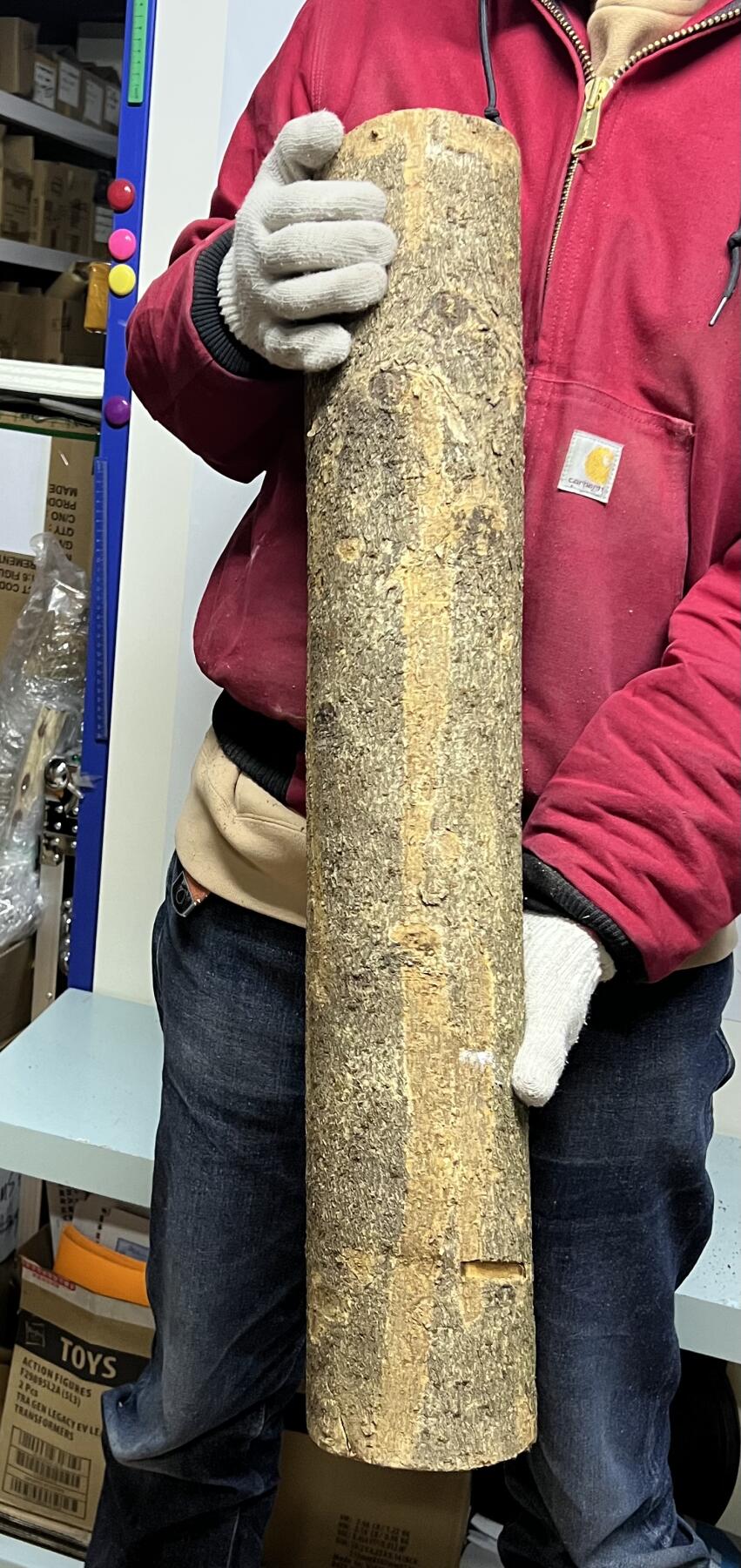 零元拍： 01-09-6金丝楠 原木 风水柱 横财（材）带皮， 尺寸：71.5/12CM。5.6公斤，抛光后金灿灿满香。