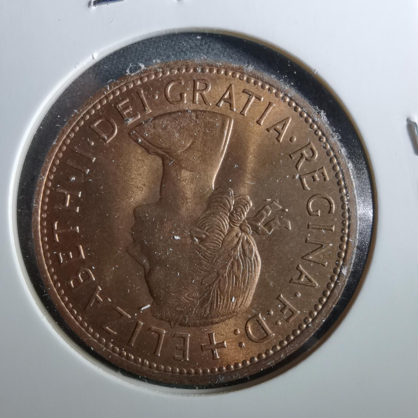 沼泽如烟--第960场