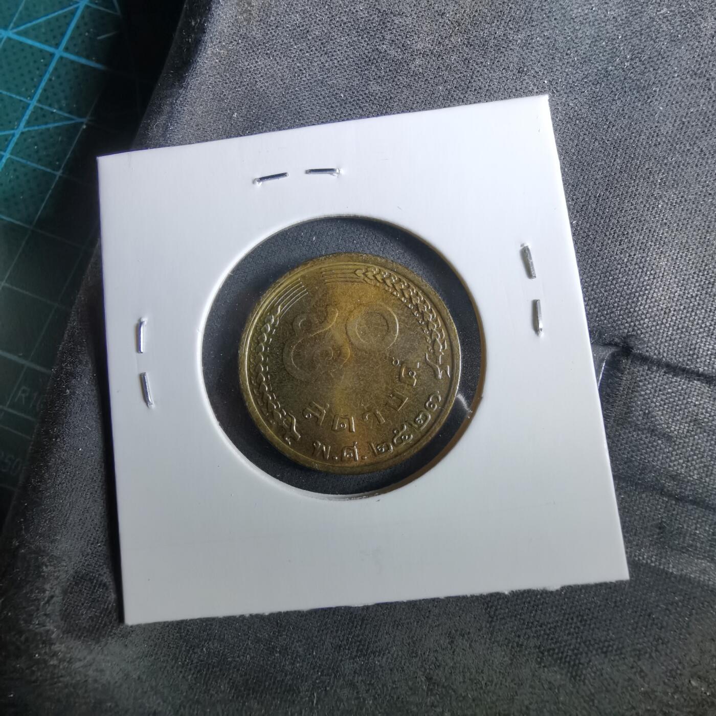 沼泽如烟--第960场 泰国