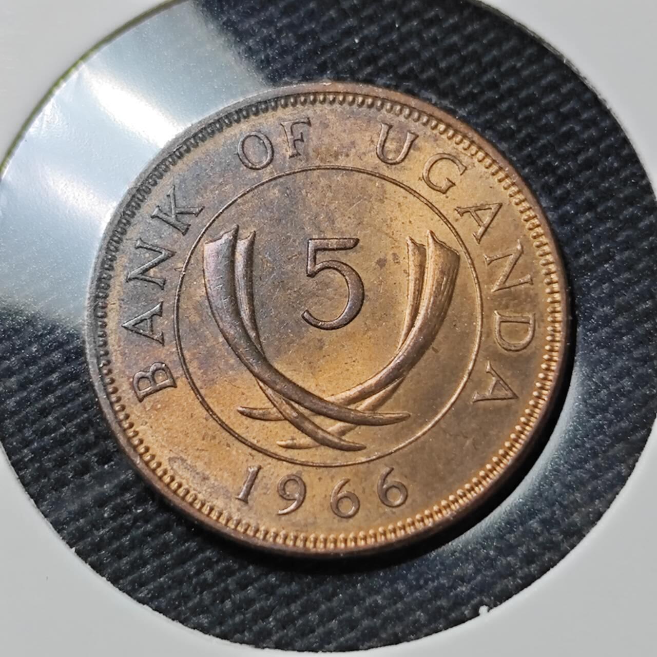 KK钱币收藏小铺 第380期  2月预留时间 周末发货