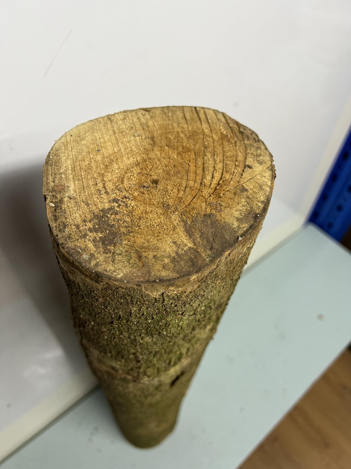 零元拍： 01-09-6金丝楠 原木 风水柱 横财（材）带皮， 尺寸：71.5/12CM。5.6公斤，抛光后金灿灿满香。