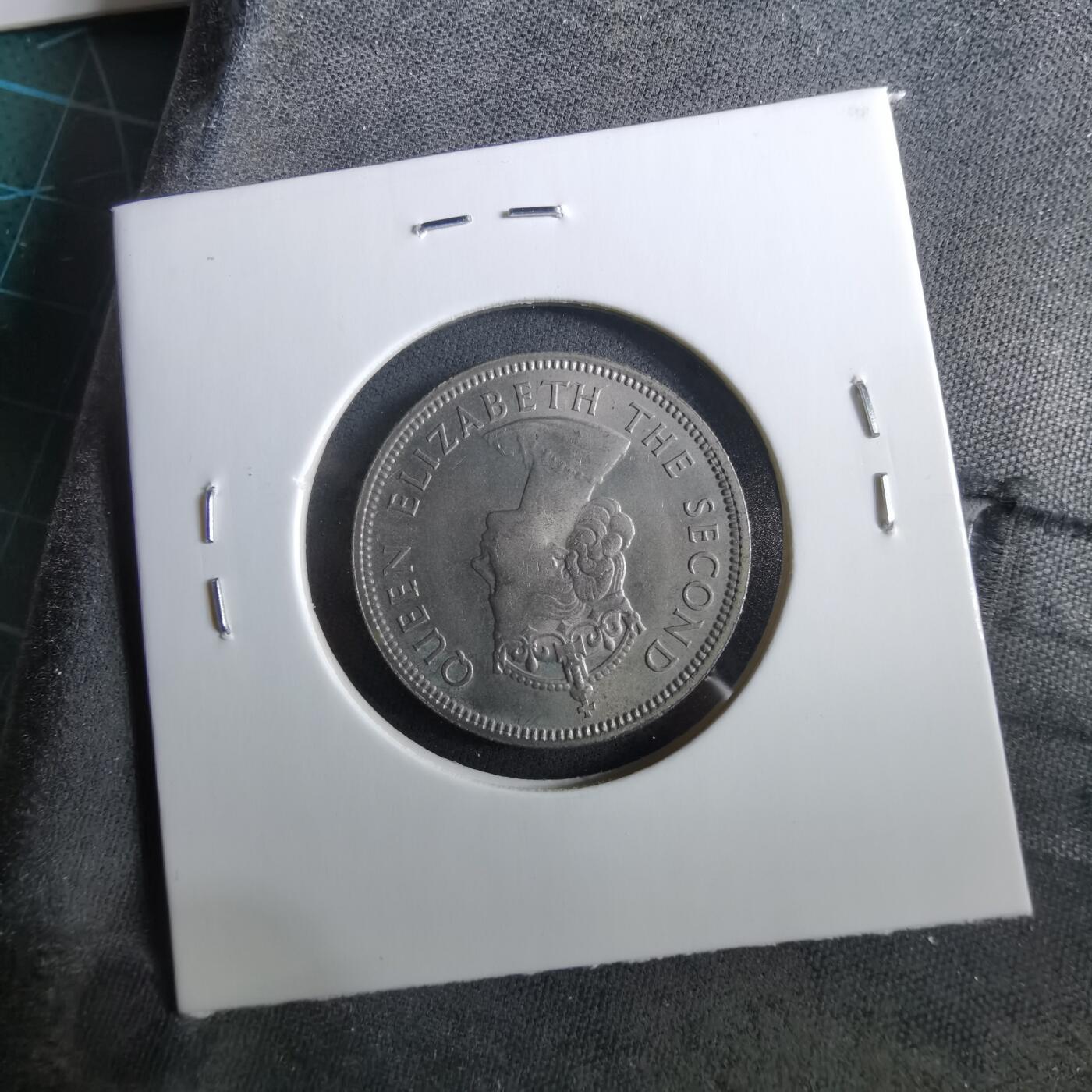 沼泽如烟--第960场