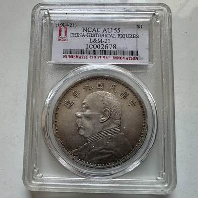 🌹外币初藏🌹🐯2026年第7场  每周二四六晚8️⃣点 接代拍 - 袁大头镀银工艺品