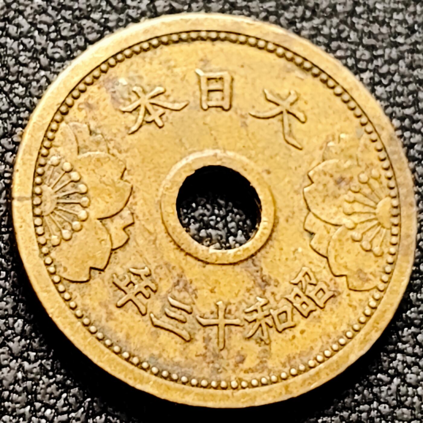 泉币菌-第170场- 精品福利场 。