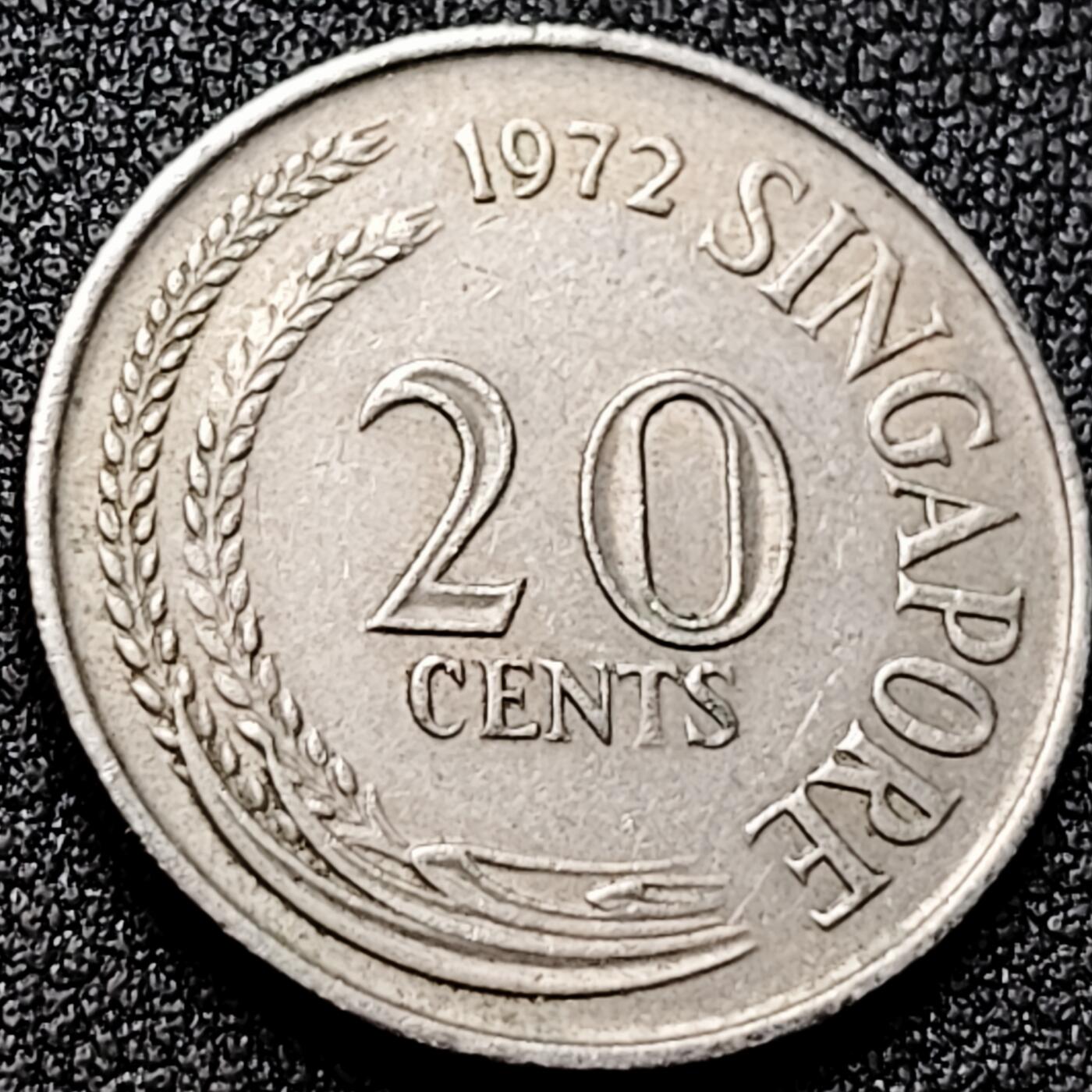 泉币菌-第170场- 精品福利场 。