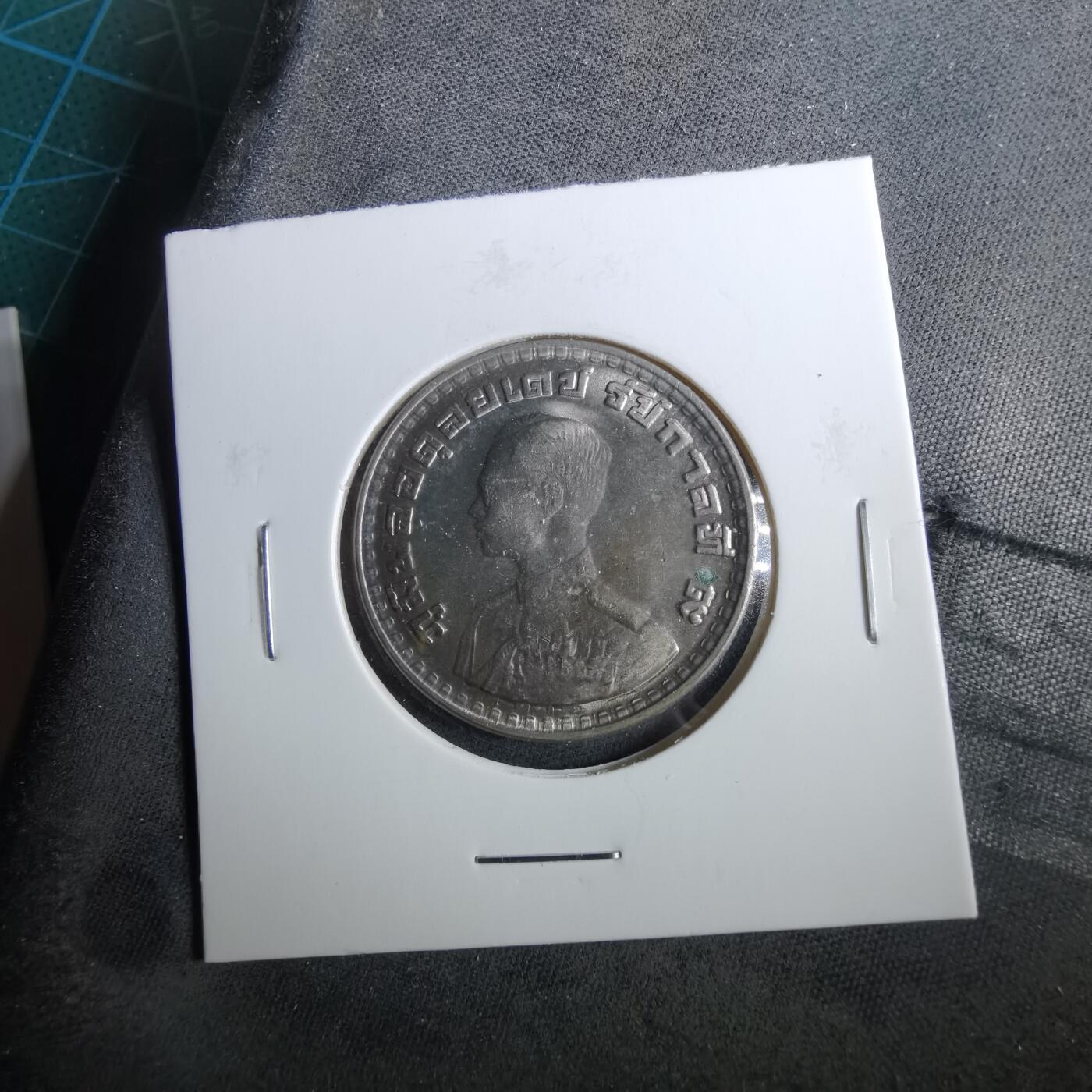 沼泽如烟--第960场