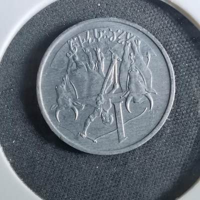 沼泽如烟--第960场 - 埃塞俄比亚