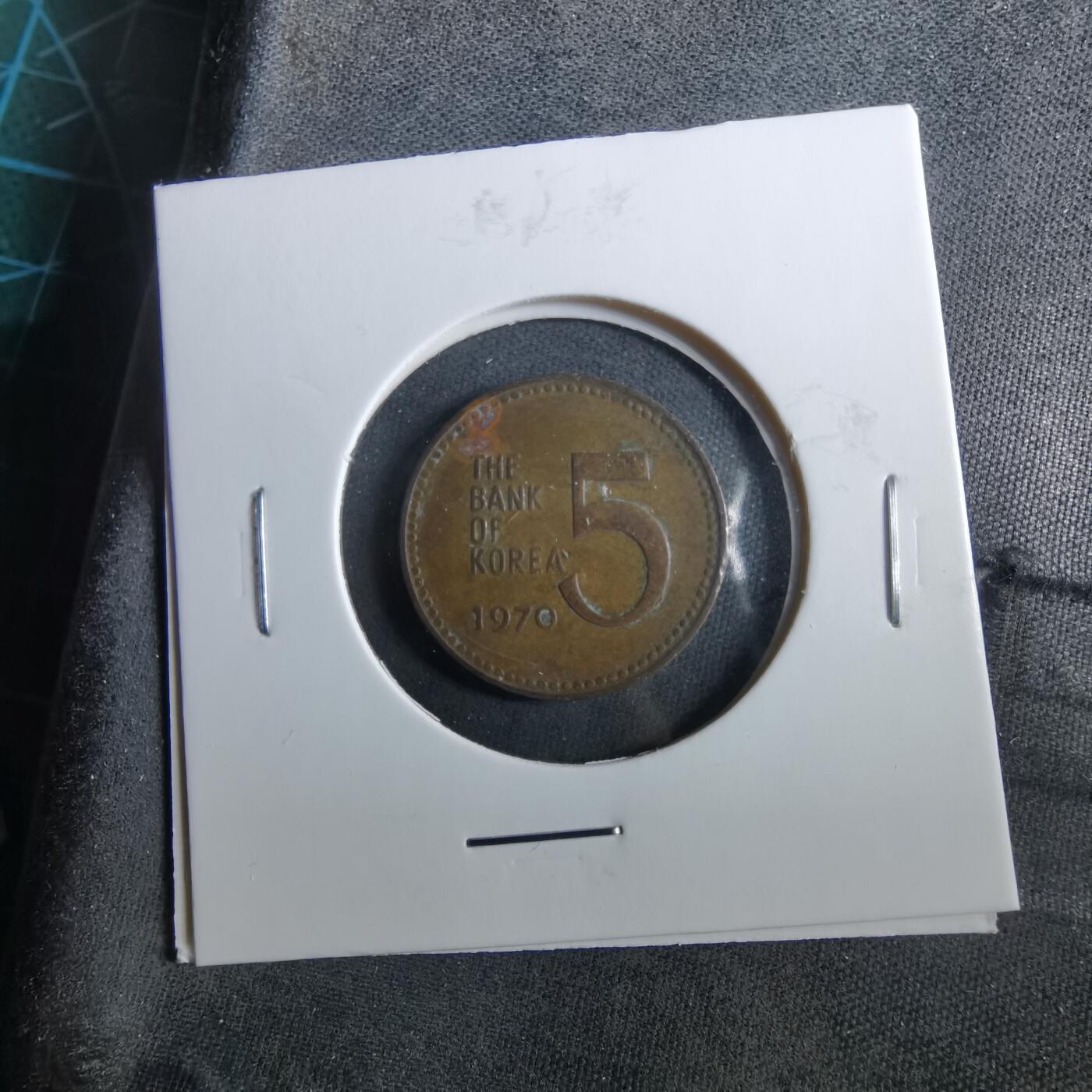 沼泽如烟--第960场