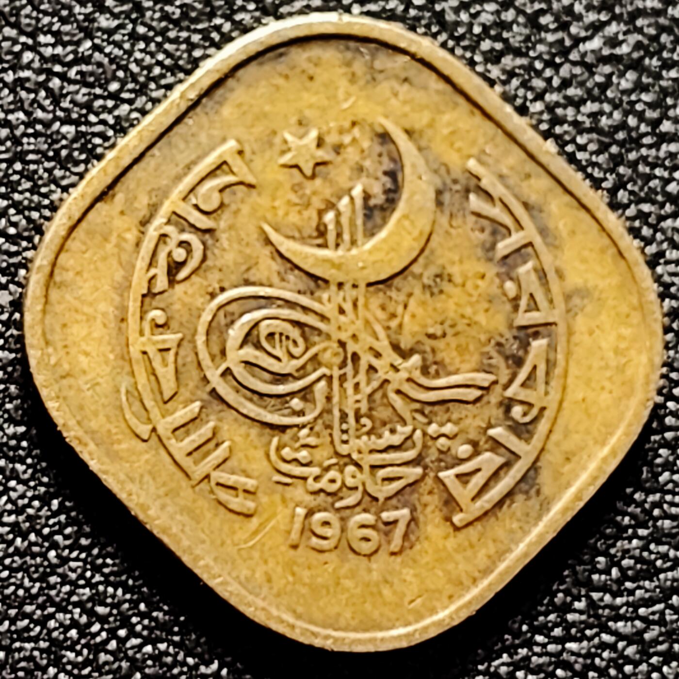 泉币菌-第170场- 精品福利场 。