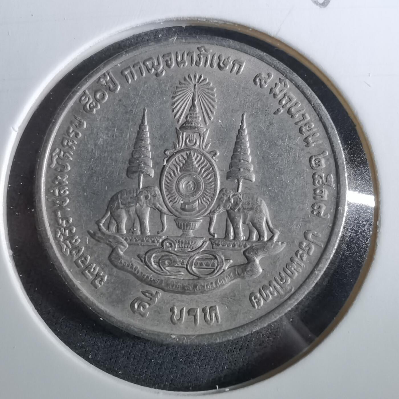 沼泽如烟--第960场