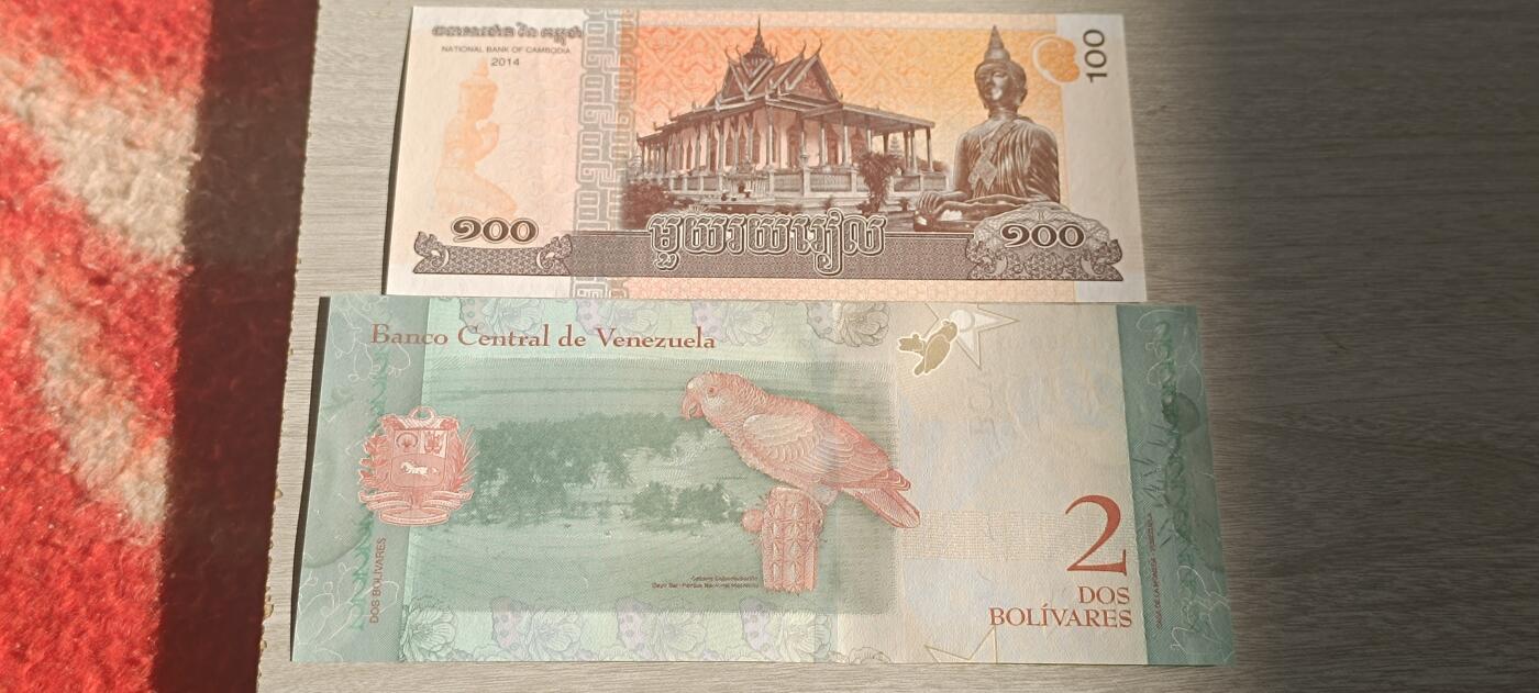 万国钱币阁第四场（钱币卡牌场） 全新柬埔寨100➕委内瑞拉2元