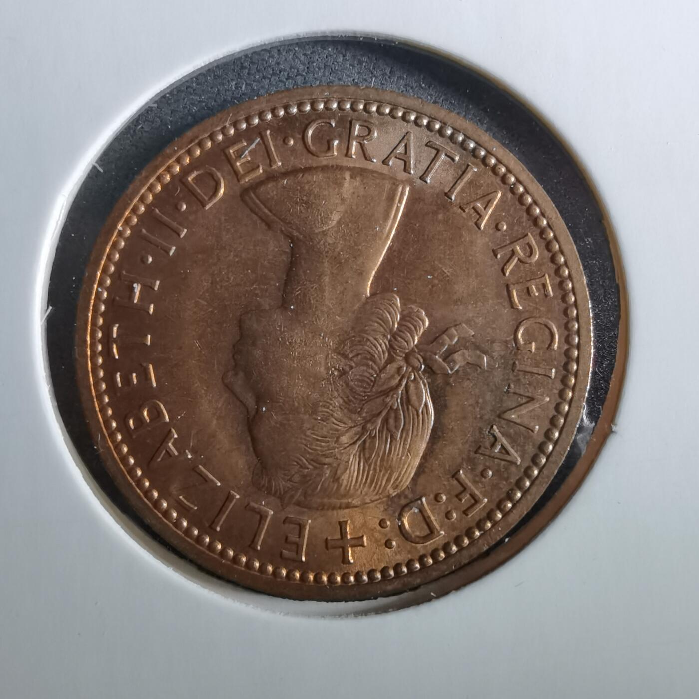 沼泽如烟--第960场