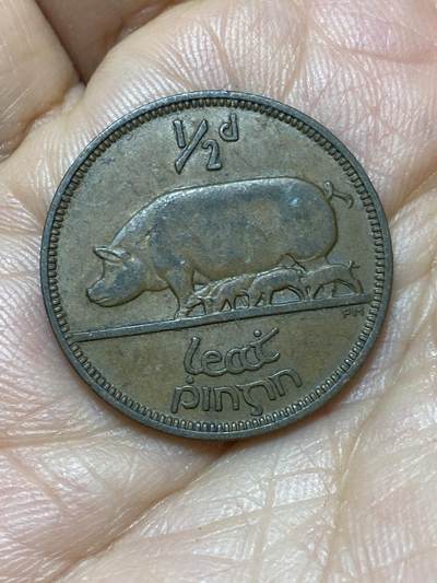 2026年第七场(总第一百七十六场）外国好品散币场(免佣金) - 爱尔兰1928年1/2便士(英辖自由邦时期，首发年)