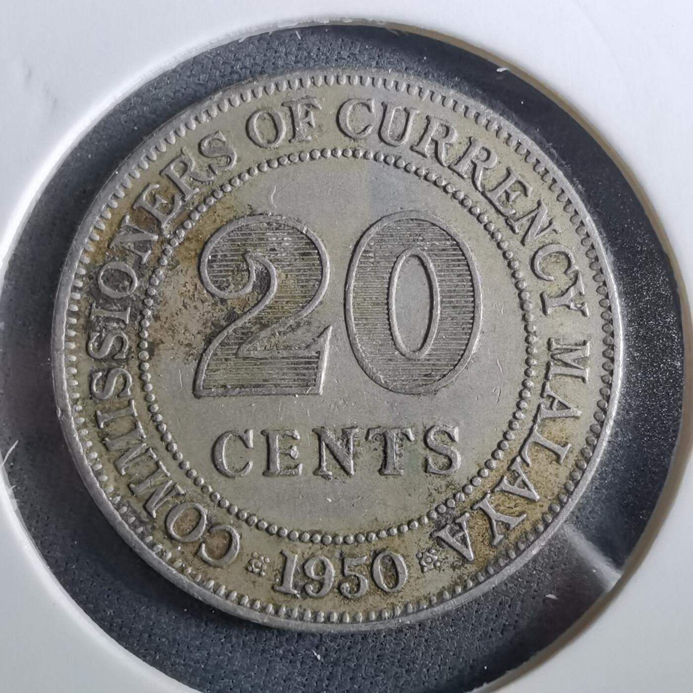 沼泽如烟--第960场