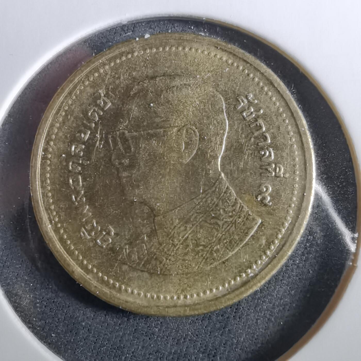 沼泽如烟--第960场