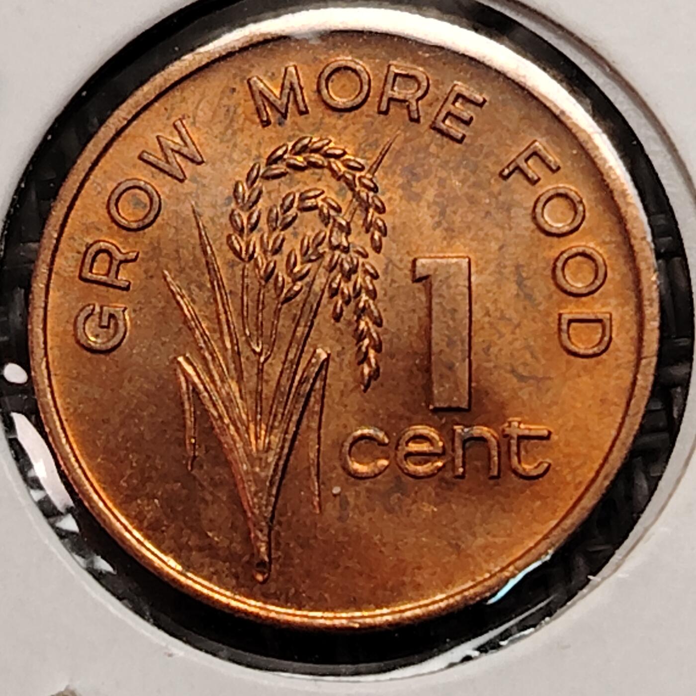 布加迪🐬～世界钱币(上海)🌾第 269 期 /  各国套币和散币 斐济🇫🇯 1982年 1分 FAO纪念币