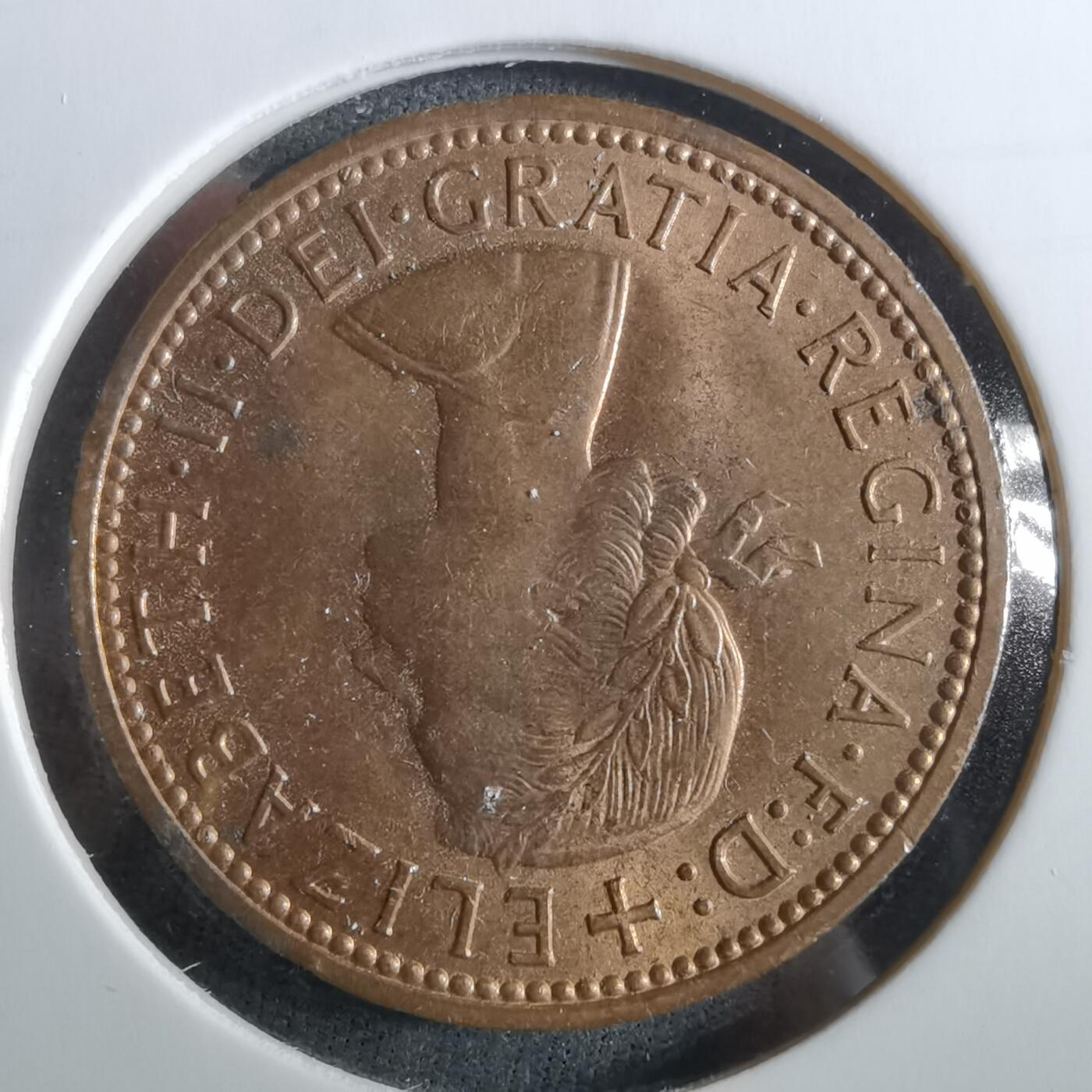 沼泽如烟--第960场