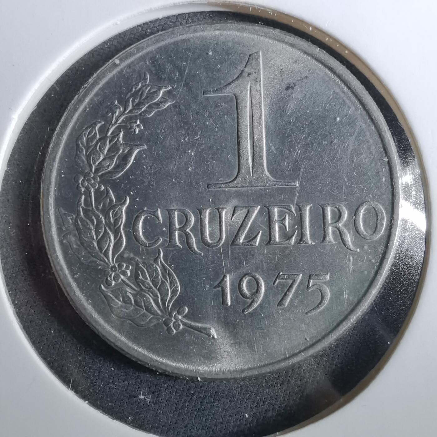 沼泽如烟--第960场