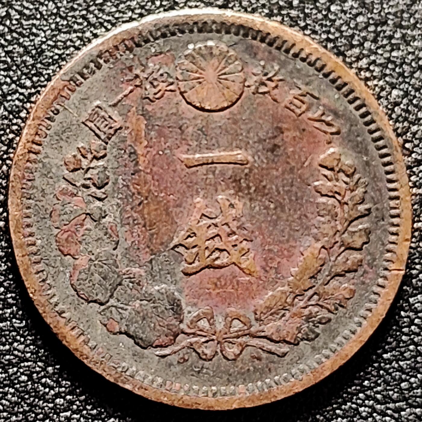 泉币菌-第169场- 精品福利场