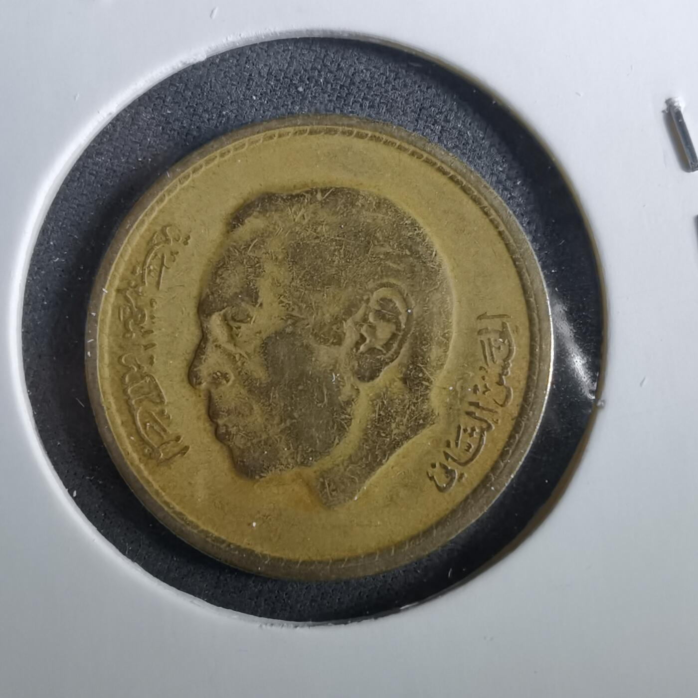 沼泽如烟--第960场