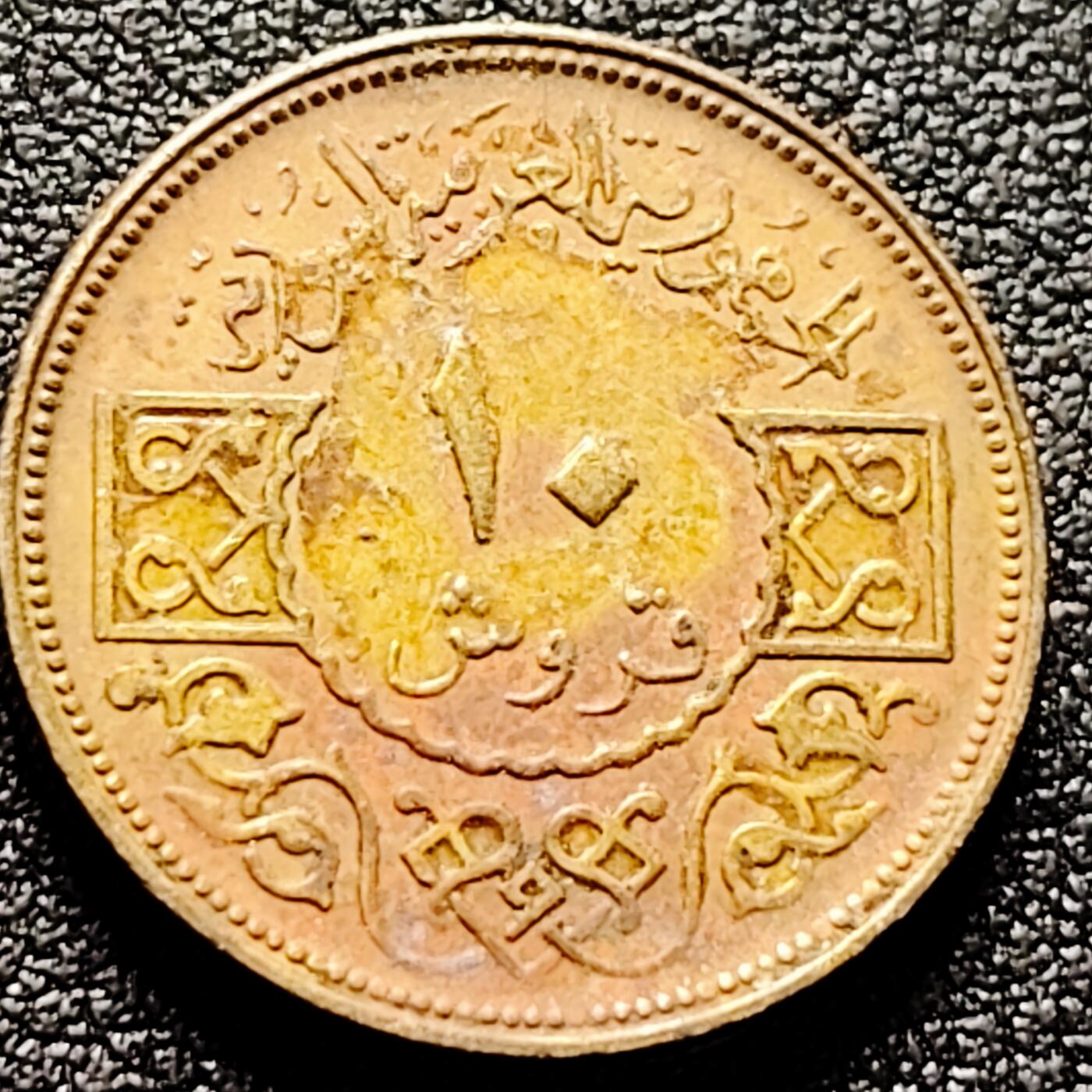 泉币菌-第170场- 精品福利场 。