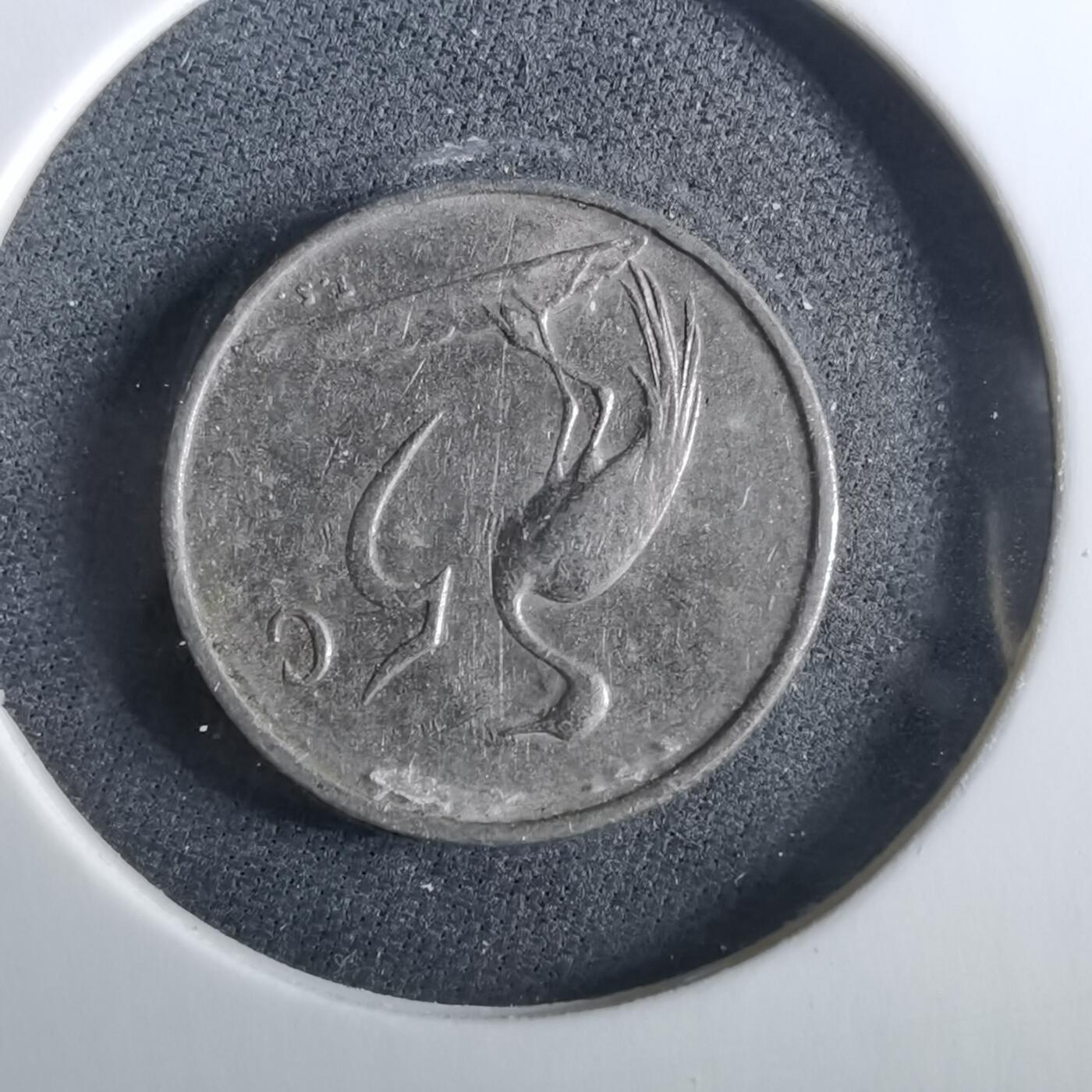 沼泽如烟--第960场