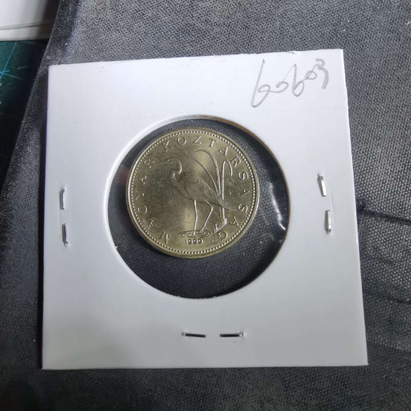 沼泽如烟--第960场