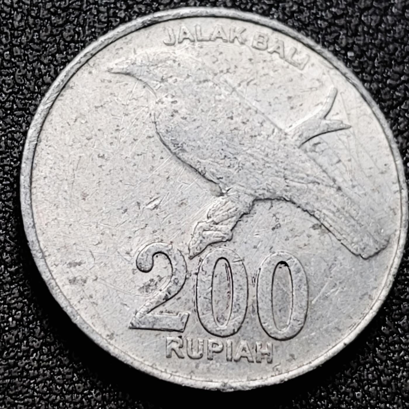 泉币菌-第169场- 精品福利场