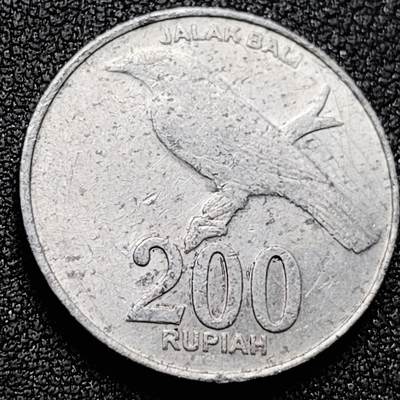 泉币菌-第169场- 精品福利场 - 。