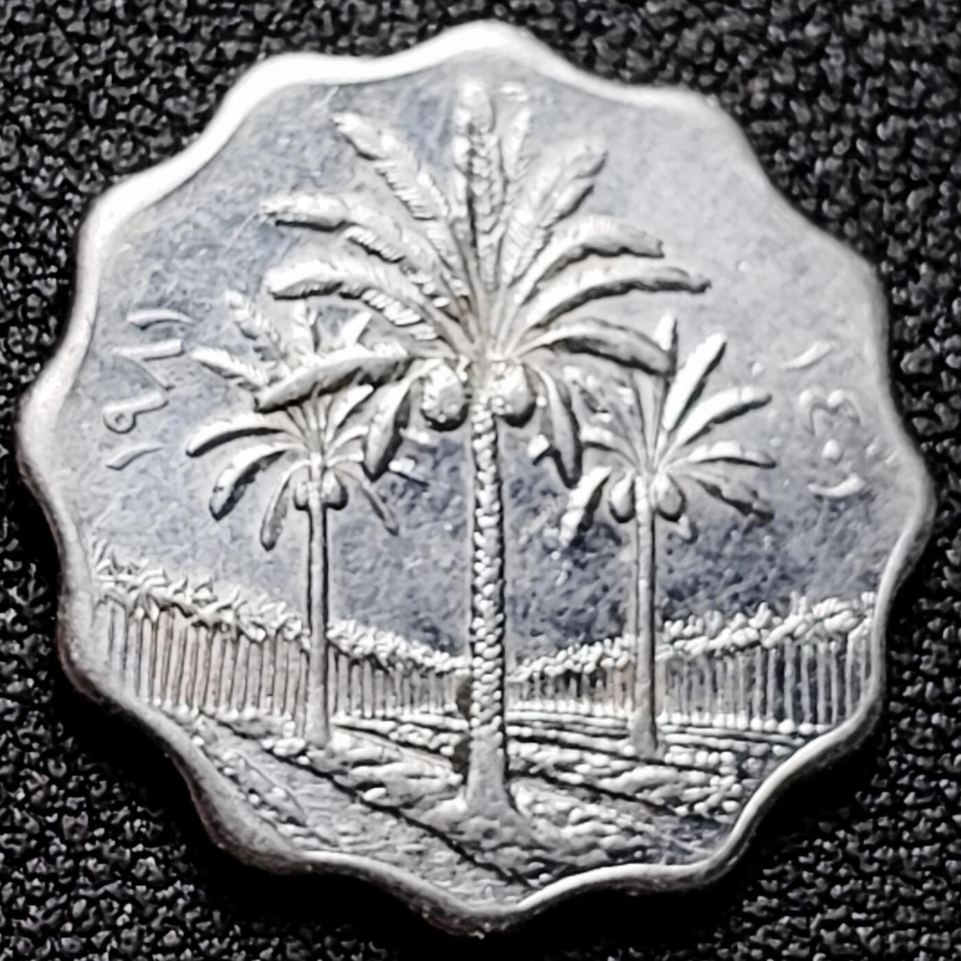 泉币菌-第170场- 精品福利场 。