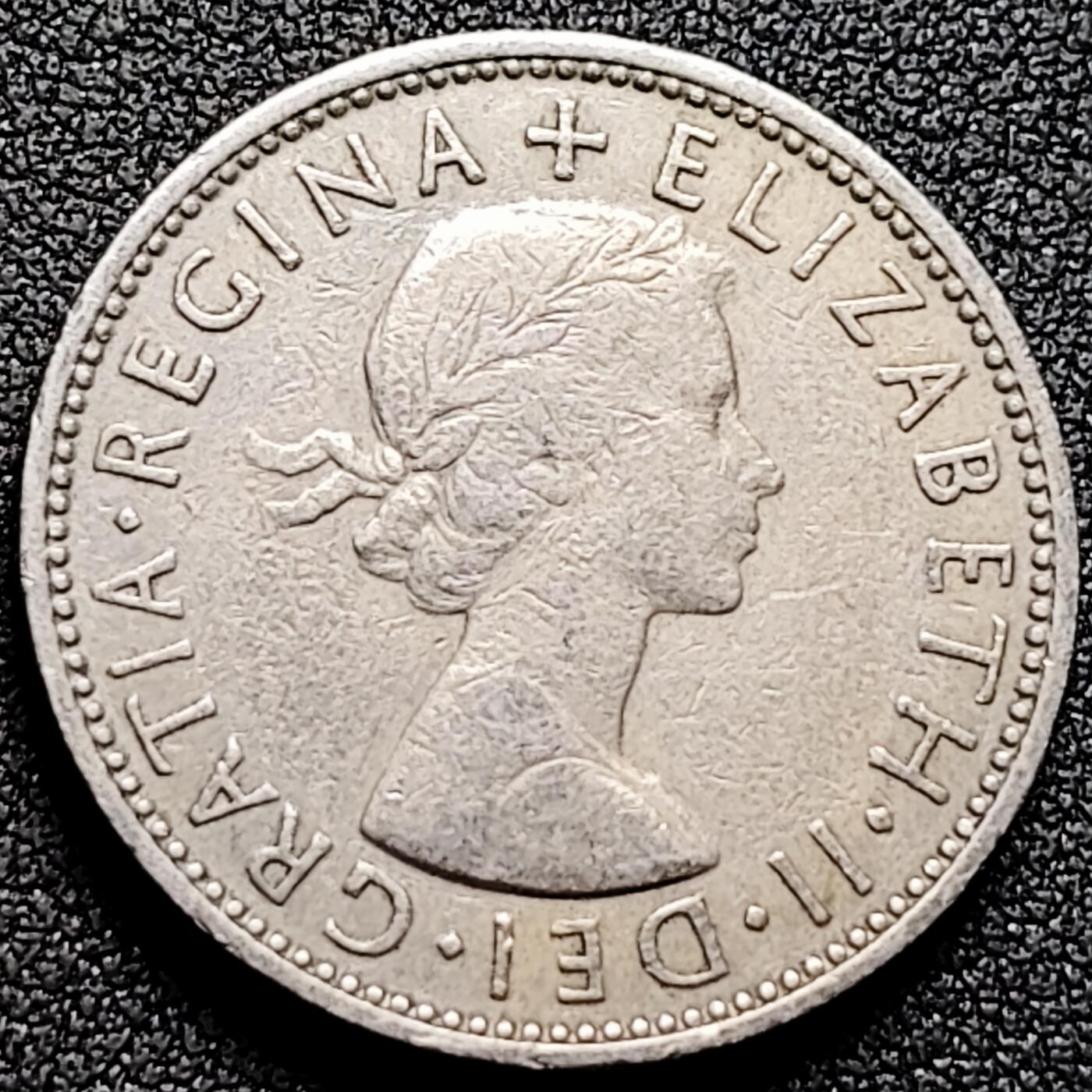 泉币菌-第170场- 精品福利场 。