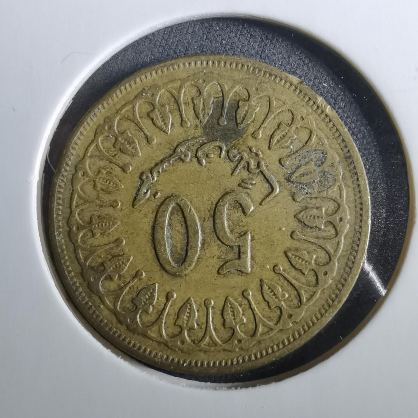 沼泽如烟--第960场